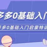 六一电商·拼多多运营0-1实操特训营，拼多多从基础到进阶的可实操玩法