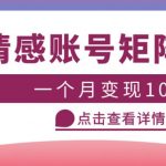 云天情感账号矩阵项目，简单操作，月入10万+可放大（教程+素材）