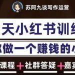 苏阿九第六期21天小红书训练营，打造爆款笔记，教你做一个赚钱的小红书