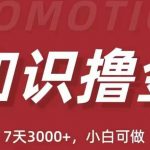 抖音知识撸金项目：简单粗暴日入1000+执行力强当天见收益(教程+资料)