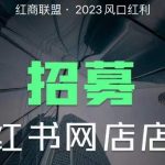 红商联盟·小红书无货源电商1.0，0粉丝无需囤货，小白也可以轻松上手的无货源项目