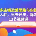 拼多多店铺运营思路与实操干货，当天入驻，当天开卖，稳定出单（13节课）