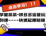 牛气学堂茶茶•拼多多运营玩法系列课—-快速起爆秘籍【更新】