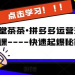 牛气学堂茶茶•拼多多运营玩法系列课—-快速起爆秘籍【更新】