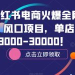 2023小红书电商火爆全网，新晋红利，风口项目，单店收益在3000-30000！