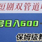 单号日入600+最新短剧双管道收益【详细教程】【揭秘】