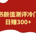 外面1980的项目，小红书颜值测评冷门项目，日赚300+【揭秘】