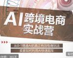 白龙老师·AI跨境电商实战营：从0-1精通Al的真正有效电商玩法，卖家如何利用Al快速超车