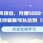 益智玩具项目，月赚5000＋，小白新手坚持做就可以达到【揭秘】