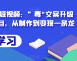 拆解抖音短视频：“毒”文案升级版副业项目，从制作到变现一条龙