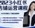 陶金金·2023小红书店铺运营课，小红书店铺入门实战教学