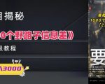 1000个野路子信息差保姆式教程-单日变现3000+的玩法解密