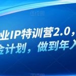 白龙·创业IP特训营2.0，IP合伙人掘金计划，做到年入50W