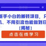 适合新手小白的搬砖项目，只需要一部手机、不用引流也能做到日入300+【揭秘】