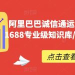 阿里巴巴诚信通运营必修课程，​1688专业级知识库/白皮书/全攻略