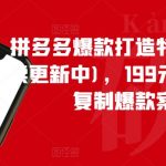 拼多多爆款打造特训营（持续更新中)，199元*100套可复制爆款案例