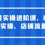 淘宝流量实操进阶课，8-15天放大流量实操，店铺流量不用愁