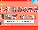 【推荐】小红书导流变现营，公域导私域，适用多数平台，一线实操实战团队总结，真正实战，全是细节！