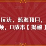 书单号最新玩法，蓝海项目，无脑制作视频，0成本【揭秘】