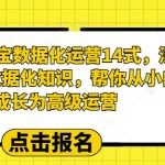 2023淘宝数据化运营14式，深度解析数据化知识，帮你从小白成长为高级运营