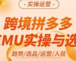 伍跃·跨境拼多多TEMU实操与选品，​趋势/选品/运营/入住（27节完整）