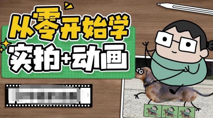 从零开始学实拍加动画，实拍加动画创意教程