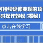 日入500+的可持续延伸变现的项目，每天2小时操作轻松【揭秘】