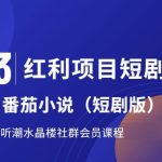 2023红利项目短剧拉新，听潮阁学社月入过万红果短剧番茄小说CPA拉新项目教程【揭秘】