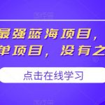 2023最强蓝海项目，小红书商单项目，没有之一【揭秘】