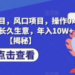 B站小说项目，风口项目，操作0难度，可做长久生意，年入10W+【揭秘】