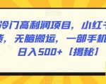 冷门高利润项目，小红书带货，无脑搬运，一部手机实现日入500+【揭秘】