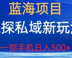 蓝海项目，探探私域新玩法，一部手机日入500+很轻松【揭秘】