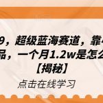 一单赚49.9，超级蓝海赛道，靠小红书卖这个虚拟商品，一个月1.2w是怎么做到的？【揭秘】