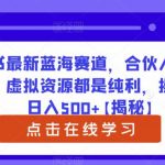 小红书最新蓝海赛道，合伙人协议书项目，虚拟资源都是纯利，操作得当日入500+【揭秘】