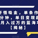 认知开悟吸金，单条作品制作5分钟，单日变现超五百，月入过万的蓝海项目【揭秘】