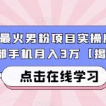 市面上最火男粉项目实操版，仅靠一部手机月入3万【揭秘】