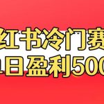 小红书冷门赛道，单日盈利500+【揭秘】