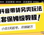 2023年最新抖音带货另类玩法，3天起号，月销破万（保姆级教程）【揭秘】