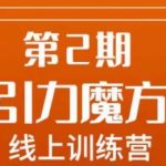 南掌柜·引力魔方拉爆流量班，7天打通你开引力魔方的任督二脉