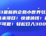 23最新的企鹅小世界引流搞米项目！快速搞钱！新手可做！轻松日入300+【揭秘】