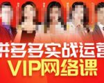 推易拼多多VIP全套直播课程，拼多多店铺实操玩法+实战玩法选款内功+直通车高阶等