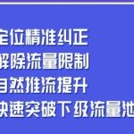 同城账号付费投放运营优化提升，​定位精准纠正，解除流量限制，自然推流提升，极速突破下级流量池