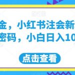 流量掘金，小红书注会新玩法，流量密码，小白日入1000+【揭秘】