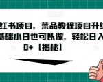 最新小红书项目，菜品教程项目升级玩法，0基础小白也可以做，轻松日入200+【揭秘】