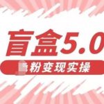 盲盒交友5.0，男粉变现实操项目，亲测变现效果极好【揭秘】