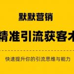 默默营销·精准引流+私域营销+逆袭赚钱（三件套）快速提升你的赚钱认知与营销思维