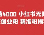 首发价值4000 小红书无限艾特暴力引流创业粉 精准粉揭秘教程