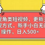 第一视角类短视频，更新多样化变现方式，新手小白无门槛操作，日入500+【揭秘】