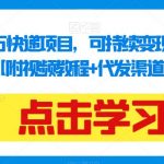 揭秘：月入2万快递项目，可持续变现，小白闭眼入【附视频教程+代发渠道】