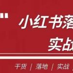 南悟·小红书医疗流量落地实战课，干货/落地/实战/快速上手